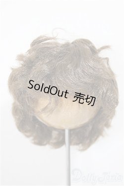 画像1: 8inch/ウィッグ/インチ　BJD　MJD　ドール用 A-25-10-01-212-NY-ZA