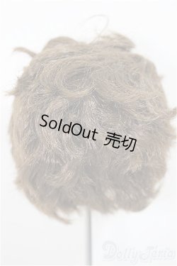 画像2: 8inch/ウィッグ/インチ　BJD　MJD　ドール用 A-25-10-01-212-NY-ZA