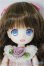 画像1: ミニスウィーツドール/ローリエ/ A-25-10-01-105-NY-ZA (1)