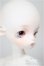 画像3: DOLLZONE/Antu/BJD　球体関節人形 A-25-10-01-151-NY-ZA