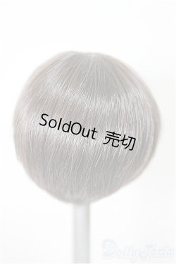 画像2: 5.5inch/ウィッグ/インチ　BJD　MJD　ドール用 A-25-10-01-249-NY-ZA