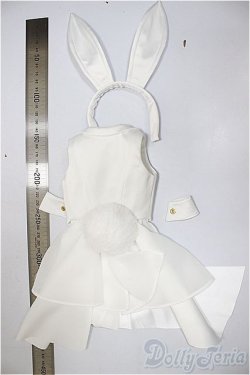 画像2: DD/OF:バニーパンツセット/0 A-25-10-01-263-NY-ZA