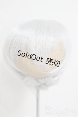 画像1: 8-9inch/ウィッグ/インチ　BJD　MJD　ドール用 A-25-10-08-211-NY-ZA