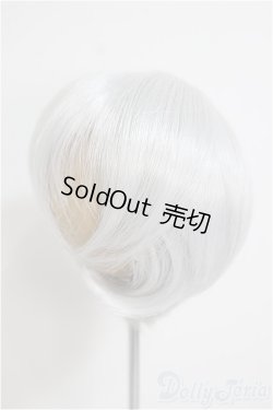 画像2: 8-9inch/ウィッグ/インチ　BJD　MJD　ドール用 A-25-10-08-211-NY-ZA