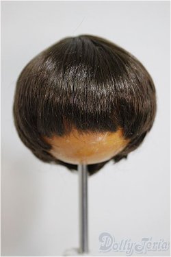 画像1: 6-7inch/ウィッグ/インチ　BJD　MJD　ドール用 A-25-10-08-212-NY-ZA