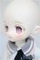 画像4: TinyFox×適当緑/猫耳量産型女子・白猫/BJD　球体関節人形 A-25-10-01-301-NY-ZA