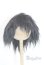 画像1: 7-8inch/ウィッグ/インチ　BJD　MJD　ドール用 A-25-10-08-068-NY-ZA (1)