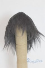 5.5inch/ウィッグ/インチ　BJD　MJD　ドール用 A-25-10-08-065-NY-ZA