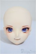 DOLLCEDOLL/DC60-03　カスタムヘッド/BJD　球体関節人形 A-25-10-01-320-NY-ZA
