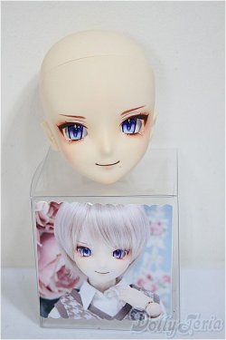 画像4: DOLLCEDOLL/DC60-03　カスタムヘッド/BJD　球体関節人形 A-25-10-01-320-NY-ZA