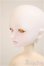 画像3: LITTLE MONICA/Little Roselynヘッド/BJD　球体関節人形 A-25-10-01-311-NY-ZA (3)