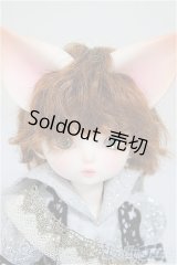 【DOLK×DEAR MINE】/BENJAMIN Autumn leaves Limited ＜Special Reissue 2024＞/BJD　球体関節人形 A-25-10-01-312-NY-ZA