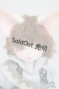 【DOLK×DEAR MINE】/BENJAMIN Autumn leaves Limited ＜Special Reissue 2024＞/BJD　球体関節人形 A-25-10-01-312-NY-ZA