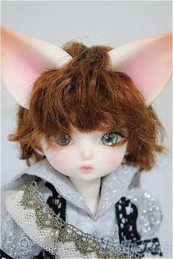 画像1: 【DOLK×DEAR MINE】/BENJAMIN Autumn leaves Limited ＜Special Reissue 2024＞/BJD　球体関節人形 A-25-10-01-312-NY-ZA