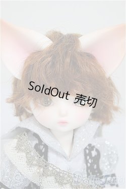 画像1: 【DOLK×DEAR MINE】/BENJAMIN Autumn leaves Limited ＜Special Reissue 2024＞/BJD　球体関節人形 A-25-10-01-312-NY-ZA