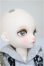 画像3: 【DOLK×DEAR MINE】/BENJAMIN Autumn leaves Limited ＜Special Reissue 2024＞/BJD　球体関節人形 A-25-10-01-312-NY-ZA