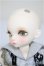 画像4: 【DOLK×DEAR MINE】/BENJAMIN Autumn leaves Limited ＜Special Reissue 2024＞/BJD　球体関節人形 A-25-10-01-312-NY-ZA