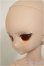 画像3: MDD/一体型アセクシャルタイプ・DC-H-17ヘッド/BJD　球体関節人形 A-25-10-01-317-NY-ZA