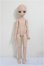 画像4: MDD/一体型アセクシャルタイプ・DC-H-17ヘッド/BJD　球体関節人形 A-25-10-01-317-NY-ZA