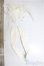 画像2: MDD/OF:小物/0 A-25-10-01-340-NY-ZA (2)