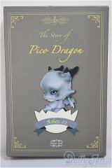 Aileen Doll/Plamodel Pico Ashes/BJD　球体関節人形 A-25-10-01-318-NY-ZA