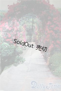 画像1: 1/3ドールサイズ/撮影用背景布 U-25-10-07-109-NY-ZU