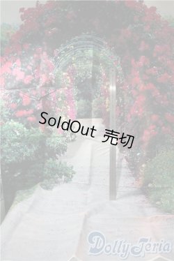 画像2: 1/3ドールサイズ/撮影用背景布 U-25-10-07-109-NY-ZU