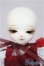 画像2: DEAR MINE /ANGELA cool ver. ~Red Riding Hood~/BJD　球体関節人形 A-25-10-01-319-NY-ZA (2)
