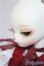 画像4: DEAR MINE /ANGELA cool ver. ~Red Riding Hood~/BJD　球体関節人形 A-25-10-01-319-NY-ZA