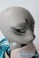 画像3: DEAR MINE/DUNE Cool ver. Grey skin ~Russian Blue~ A-25-10-08-1092-NY-ZU