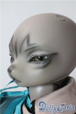 画像4: DEAR MINE/DUNE Cool ver. Grey skin ~Russian Blue~ A-25-10-08-1092-NY-ZU