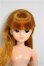 画像1: 3代目リカちゃん/本体/BJD　球体関節人形 A-25-10-01-329-NY-ZA (1)