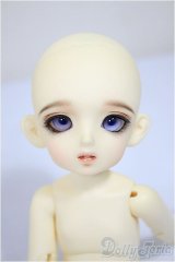 BJD CROBI/E-Line Ara/0 A-25-10-08-302-NY-ZA