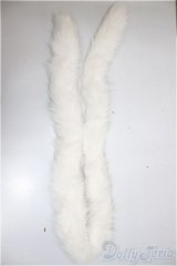 MDD/OF:小物/0 A-25-10-08-125-NY-ZA