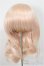 画像1: 8-9inch/ウィッグ/インチ　BJD　MJD　ドール用 A-25-10-08-113-NY-ZA (1)