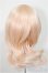 画像2: 8-9inch/ウィッグ/インチ　BJD　MJD　ドール用 A-25-10-08-113-NY-ZA (2)