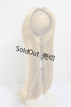 画像1: 9-10inch/ウィッグ/インチ　BJD　MJD　ドール用 A-25-10-08-194-NY-ZA