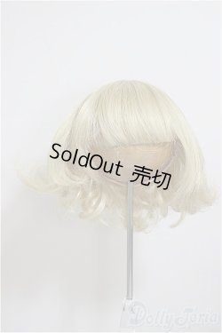 画像1: 8-9inch/ウィッグ/インチ　BJD　MJD　ドール用 A-25-10-08-201-NY-ZA