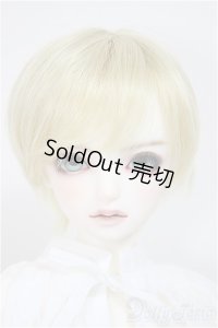 SDB/Le petit Frere ワンオフモデル(aone様メイク)/BJD　球体関節人形 A-25-10-08-331-NY-ZA