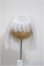 画像1: 7-8inch/ウィッグ/インチ　BJD　MJD　ドール用 A-25-10-08-462-NY-ZA (1)