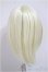 画像2: 9inch/ウィッグ/インチ　BJD　MJD　ドール用 A-25-10-08-460-NY-ZA (2)