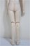 画像5: MDD/ベースボディ2.0/BJD　球体関節人形 A-25-10-08-392-NY-ZA (5)