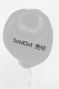 画像2: 9-10inch/ウィッグ/インチ　BJD　MJD　ドール用 A-25-10-08-403-NY-ZA