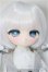 画像1: TinyFox/芙拉莉(Flurry/フラリー)/BJD　球体関節人形 A-25-10-15-102-NY-ZA (1)