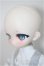 画像4: TinyFox/芙拉莉(Flurry/フラリー)/BJD　球体関節人形 A-25-10-15-102-NY-ZA
