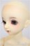 画像4: MSDGIRL/コーディネイトモデルF-18/BJD　球体関節人形 A-25-10-22-183-NY-ZA