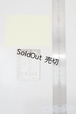 画像2: SD/豆本 U-25-10-21-198-NY-ZU