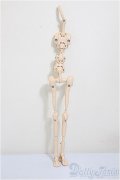 MDDF3/内部パーツ/BJD　球体関節人形 A-25-10-15-159-NY-ZA