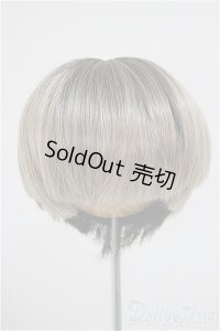 8-9inch/ウィッグ A-25-10-15-301-NY-ZA