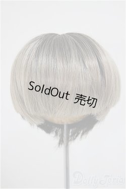 画像1: 8-9inch/ウィッグ A-25-10-15-301-NY-ZA